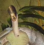 Buddhost Sea Goddess Thumbnal