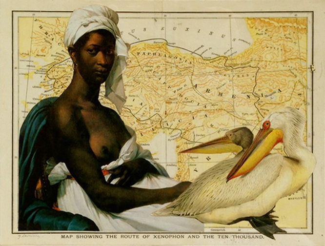 lady with birdfs